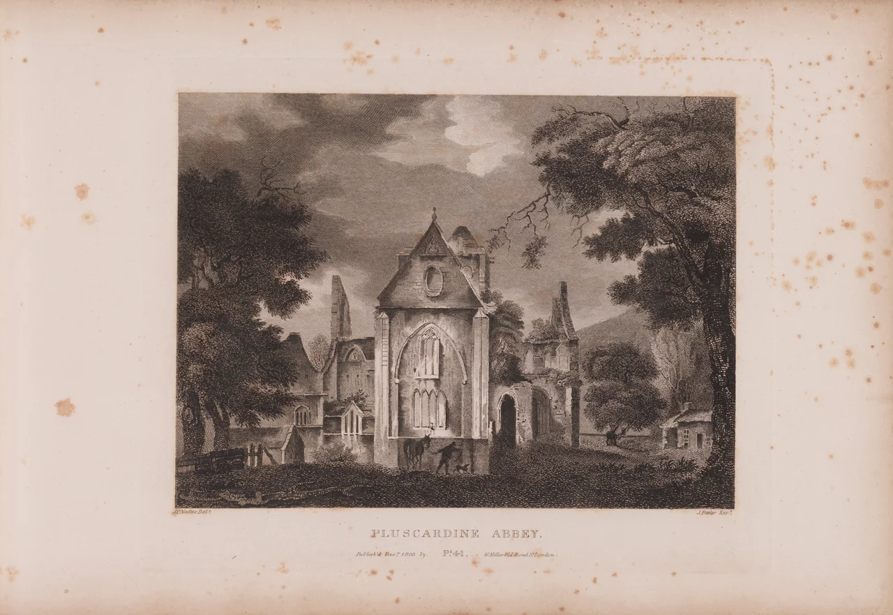 Plate XLI/b - John Claude Nattes made drawings of suitable scenes on the spot; etchings are by James Fittler.