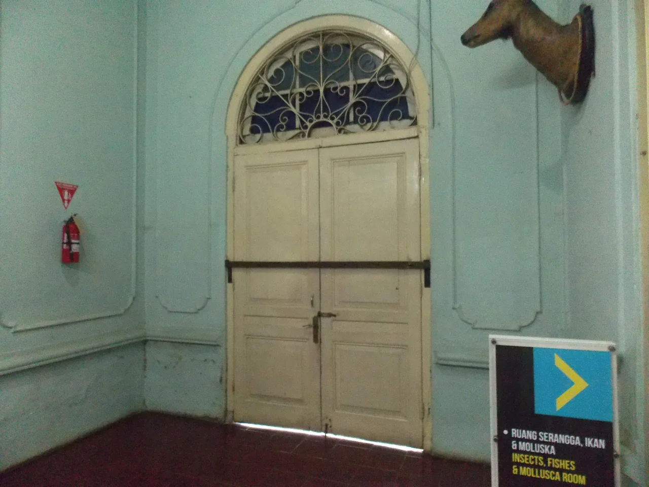The old front door of Bogor Zoology Museum, Dutch era, sealed shut now apparently.
