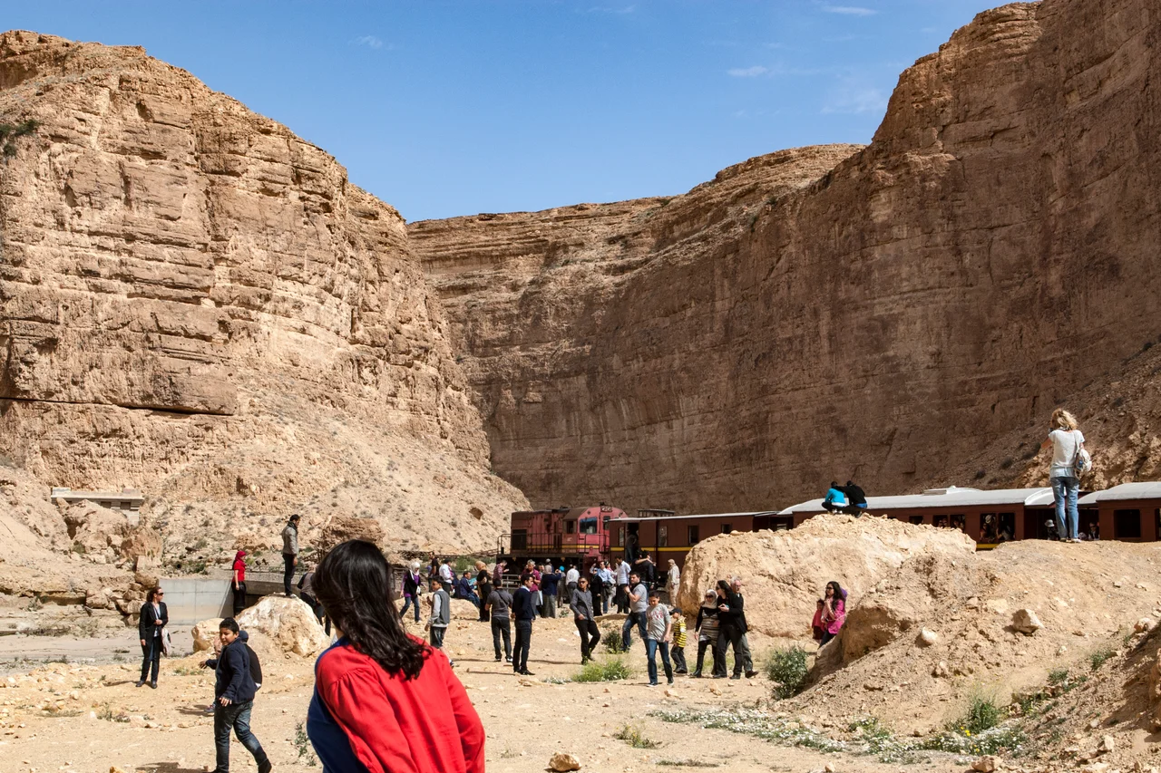 Selja gorge with the train "Lezard Rouge"