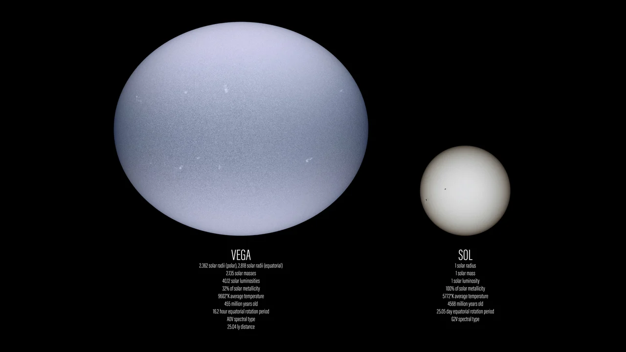 The fifth brightest star, Vega, compared with the Sun, in a realistic way (including granulation, gravity darkening, oblateness and bright starspots detected in a 2015 paper.